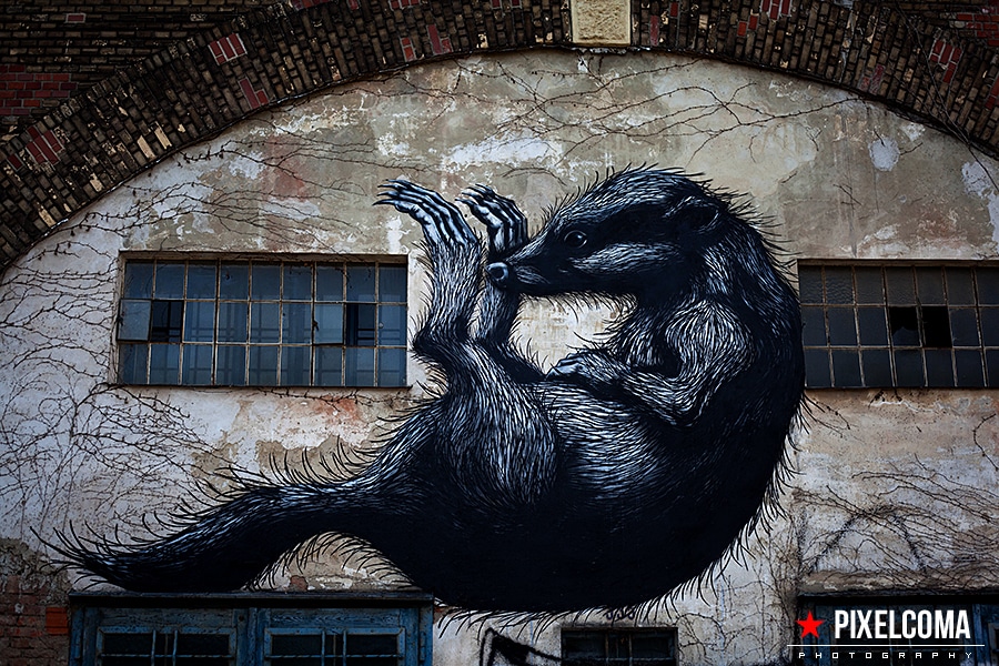 ROA, Wien, Grafiti